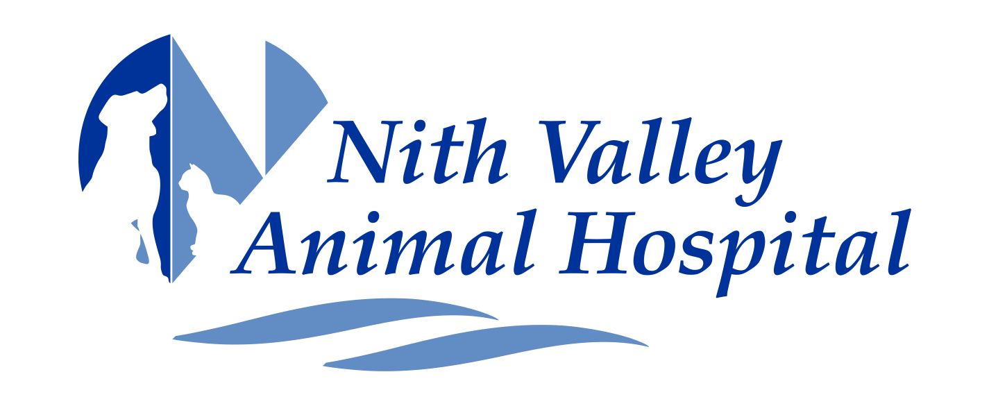 Nith Valley Animal Hospital