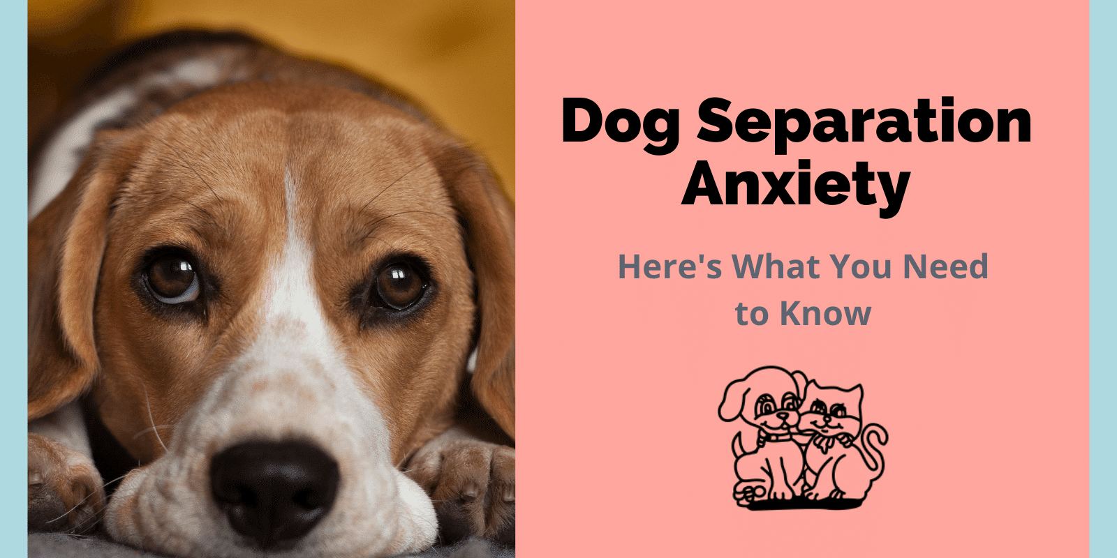 Dog Separation Anxiety | Veterinarian in New Hamburg